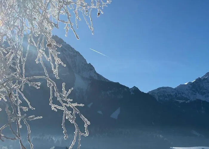 Haus Albertha * 埃尔瓦尔德